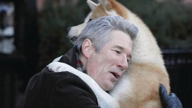 Dostluğun ve Sadakatin Sadece İnsanlara Ait Kavramlar Olmadığını Öğreten Film: Hachi, Bir Köpeğin Hikayesi!