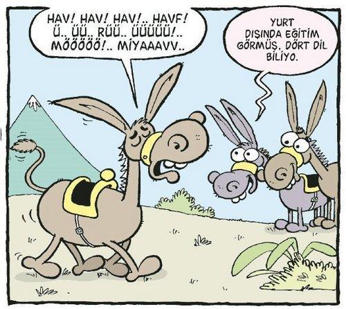 Türkiye de ki Bakış Açısı.