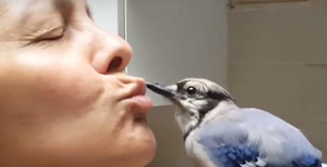 Buldukları Yavru Kuş, Kanserli Kadına Hayat Kaynağı Oldu