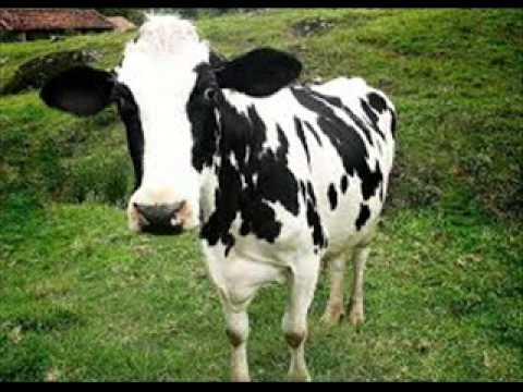 Hababam Sınıfı Serisini İzleyenleri Hayran, İzlemeyenleri Bin Pişman Bırakacak 20 Sahne