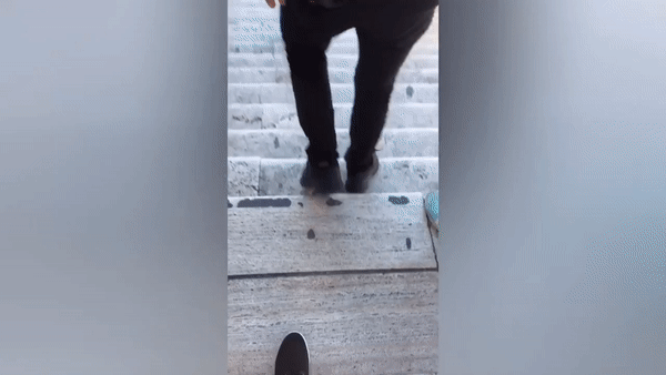 Dünya Gerçekten Sandığımız Kadar Kötü Mü Öğrenelim Dedik, Cüzdan Düşürerek Sosyal Deney Yaptık!