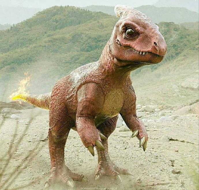 Pokemonlar Gerçek Hayatta Olsaydı Nasıl Görünürlerdi?