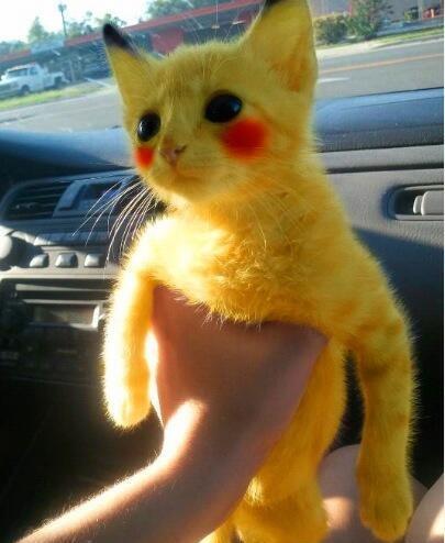 Pokemonlar Gerçek Hayatta Olsaydı Nasıl Görünürlerdi?