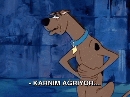 Tercih Döneminde Bir Garip Ruh Halindeydim!