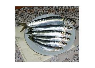 SARDALYA (BARBUN GİBİ KÜÇÜK YAĞLI BALIKLAR)