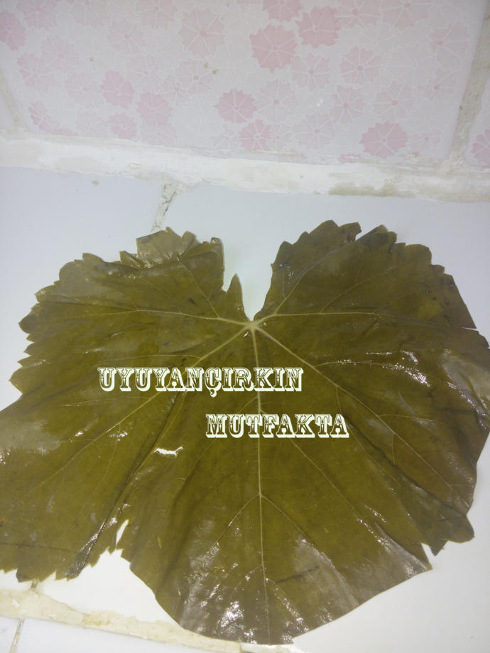 Salamura edilmiş asma yaprağı