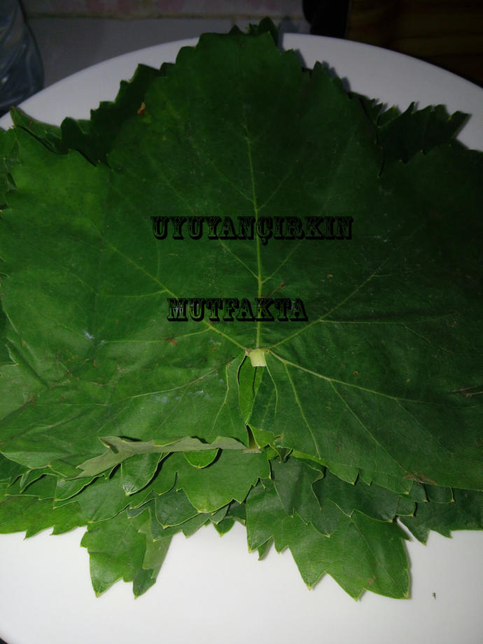 Aşksın Sen, Cansın Sen Dedirten Sardalya Sarma Nasıl Yapılır?