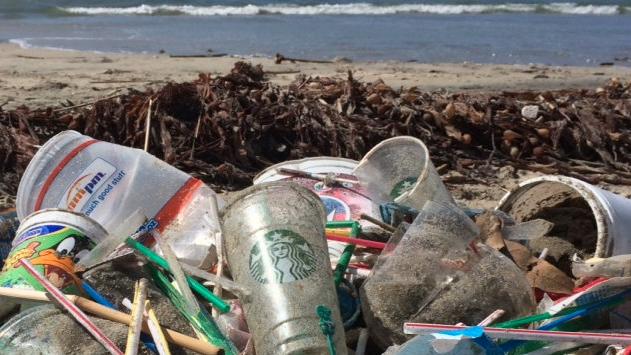 Dünyaca Ünlü Kahve Zinciri Tek Kullanımlık Plastik Pipetleri Yasaklıyor