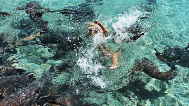 Güzel Modele Tatil Sırasında Köpek Balığı Saldırdı