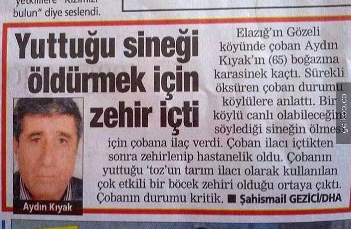 Toplum Olarak Eksantrik İşlerde Üstümüze Olmadığını Gösteren İlginç Vakalar!