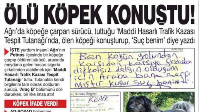 Toplum Olarak Eksantrik İşlerde Üstümüze Olmadığını Gösteren İlginç Vakalar!