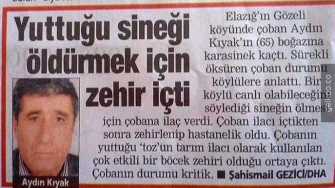 Toplum Olarak Eksantrik İşlerde Üstümüze Olmadığını Gösteren İlginç Vakalar!