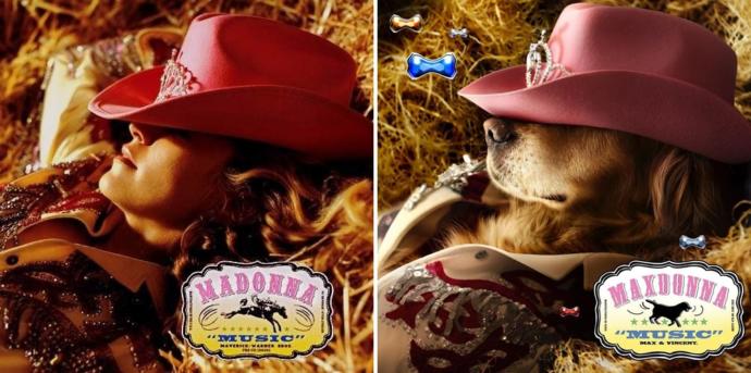 Madonna'nın Albümü Varsa, Maxdonna'nın da Var: Madonna'nın Albüm Kapaklarını Yeniden Canlandıran Tatlı Köpek!