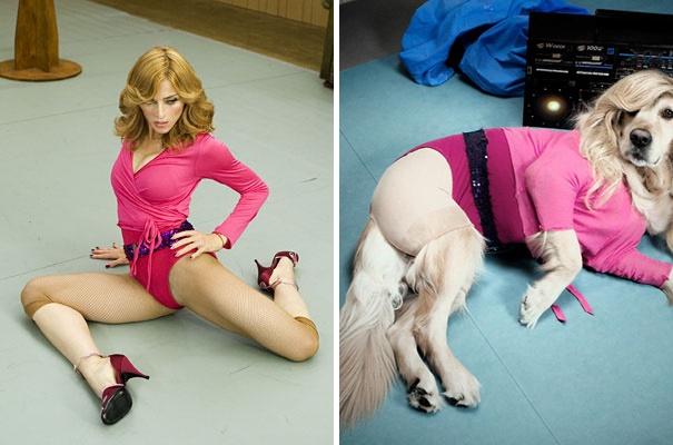 Madonna'nın Albümü Varsa, Maxdonna'nın da Var: Madonna'nın Albüm Kapaklarını Yeniden Canlandıran Tatlı Köpek!