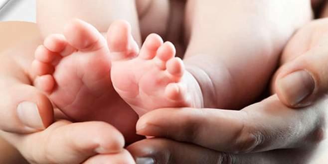 5 Yeni Sorgulama Hizmeti E-Devlette Kullanıma Sunuldu