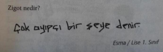 Sınav Sorularına Verilmiş Komik Cevaplar