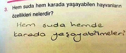 Sınav Sorularına Verilmiş Komik Cevaplar