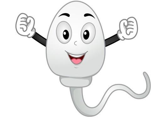 Sperm Kalitesini Arttıran Faktörler Nelerdir?