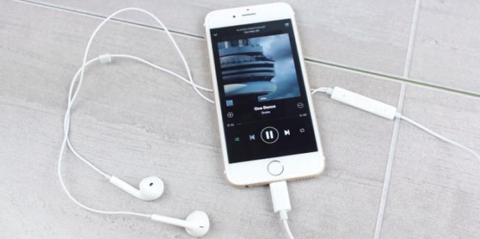 Müzik