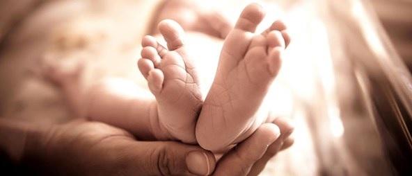 Bilim İnsanları Kadının Kemik İliğinden Sperm Üretti!