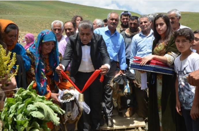 Bu da Oldu: Hakkari'de Ak Koyun ile Kara Koça Davullu Zurnalı Düğün Yapıldı! 🐑