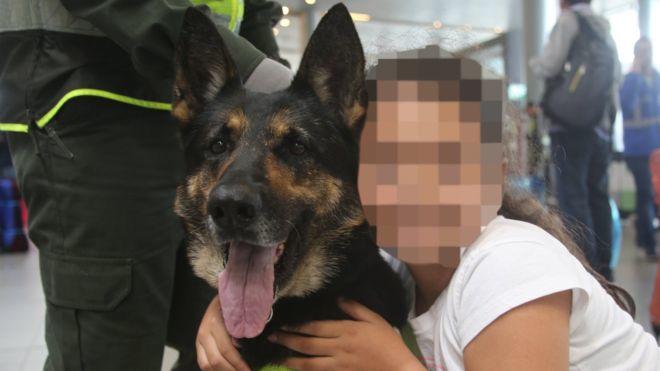 Kolombiya'nın Ünlü Uyuşturucu Çetesi, Narkotik Köpeğinin Başına Ödül Koydu