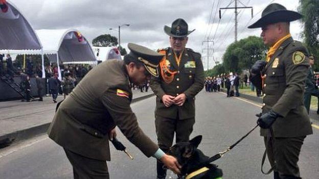 Kolombiya'nın Ünlü Uyuşturucu Çetesi, Narkotik Köpeğinin Başına Ödül Koydu