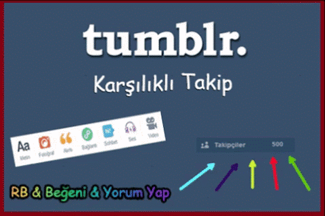 Sitede Kurallara Uygun Soru Sormanın Temel Kuralları Nelerdir ve Hangi Soru Hangi Seçenekten Şikayet Edilir?