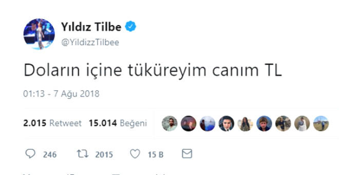 Yıldız Tilbe'den, Twitter'ı Sallayan Dolar Tweetleri