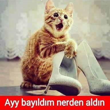 Erkeklerin Regl Hakkında Düşünüp Soramadığı 6 Soru ve Cevapları!