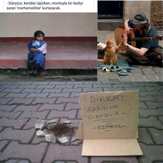 Balık Burcunun En Olumlu Özellikleri Nelerdir?
