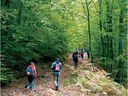 İlk Kez Dağ Yürüyüşüne Çıkacaklar İçin Olmazsa Olmaz Malzemeler