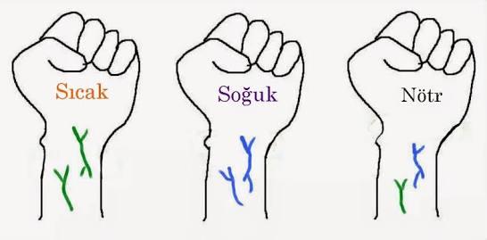 Cilt Alt Tonu Nedir ve Cilt Alt Tonuna Göre Nasıl Makyaj Yapılmalıdır?