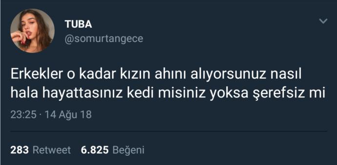 Son Günlerde Twitter'da Erkekler Hakkında Atılmış 7 Hınç Dolu Popüler Tweet!