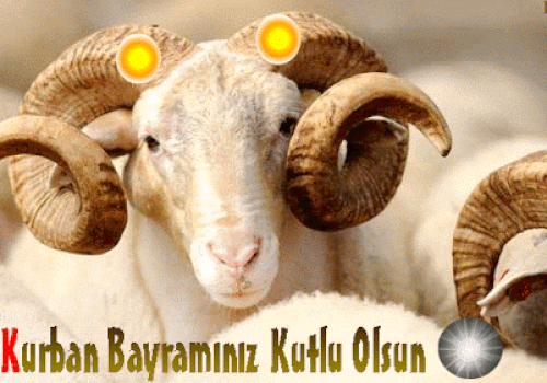 Kurban Bayramını Sağlıkla Geçirebilmek İçin Beslenmemizde Nasıl Değişiklikler Yapabiliriz?