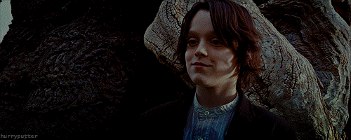 Burcuna Göre Hangi Harry Potter Karakterisin?