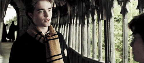 Burcuna Göre Hangi Harry Potter Karakterisin?