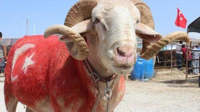 En Sağlıklı Yoldan Kurban Eti Ne Zaman Tüketilmelidir?