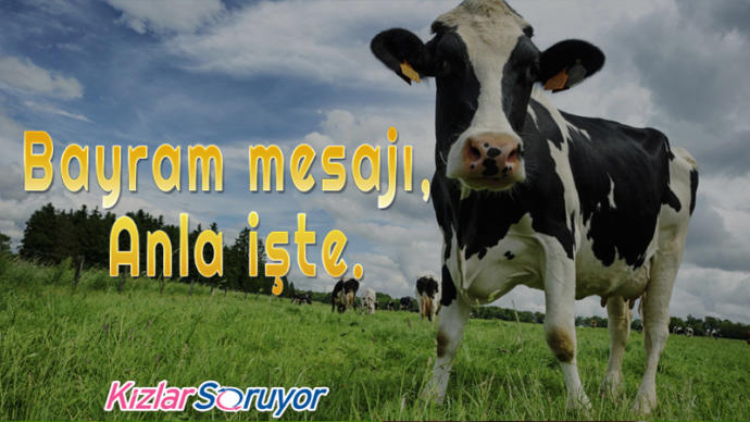 Sevdiklerimizin Yüzünde Tebessüm Bırakacak Birbirinden Esprili Bayram Mesajı Görselleri!