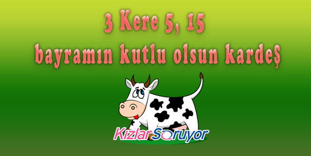 Sevdiklerimizin Yüzünde Tebessüm Bırakacak Birbirinden Esprili Bayram Mesajı Görselleri!