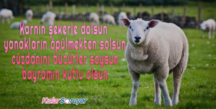 Sevdiklerimizin Yüzünde Tebessüm Bırakacak Birbirinden Esprili Bayram Mesajı Görselleri!