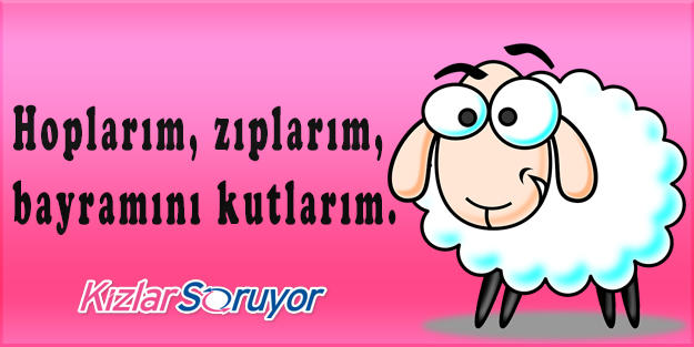 Sevdiklerimizin Yüzünde Tebessüm Bırakacak Birbirinden Esprili Bayram Mesajı Görselleri!