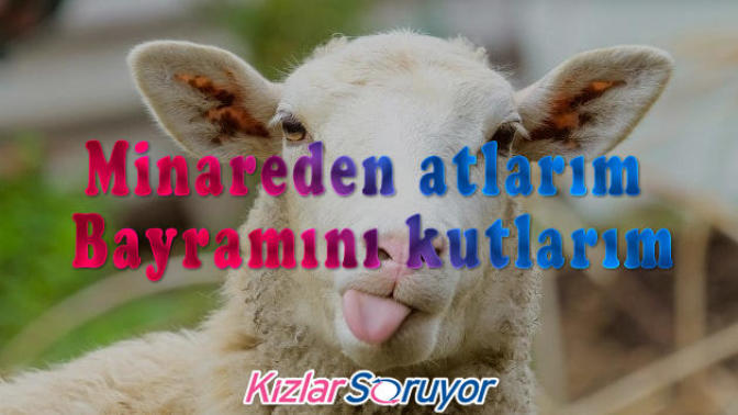 Sevdiklerimizin Yüzünde Tebessüm Bırakacak Birbirinden Esprili Bayram Mesajı Görselleri!