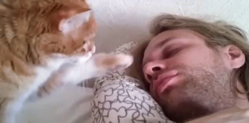 Evinde İki Kedi Besleyecekleri Bekleyen Olası 5 Durum!