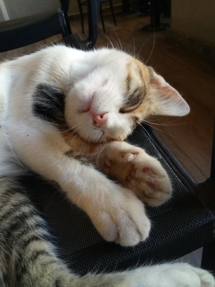 İlk tanışmamız :)