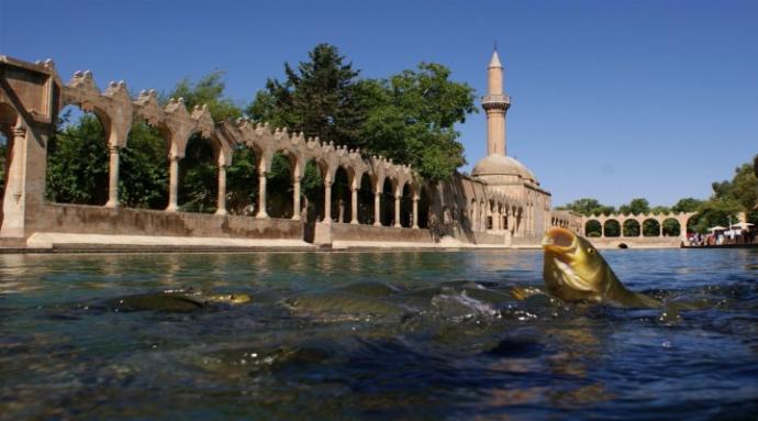 Türkiye'nin Popüler Turistik Yerleri Ve Görüşlerim