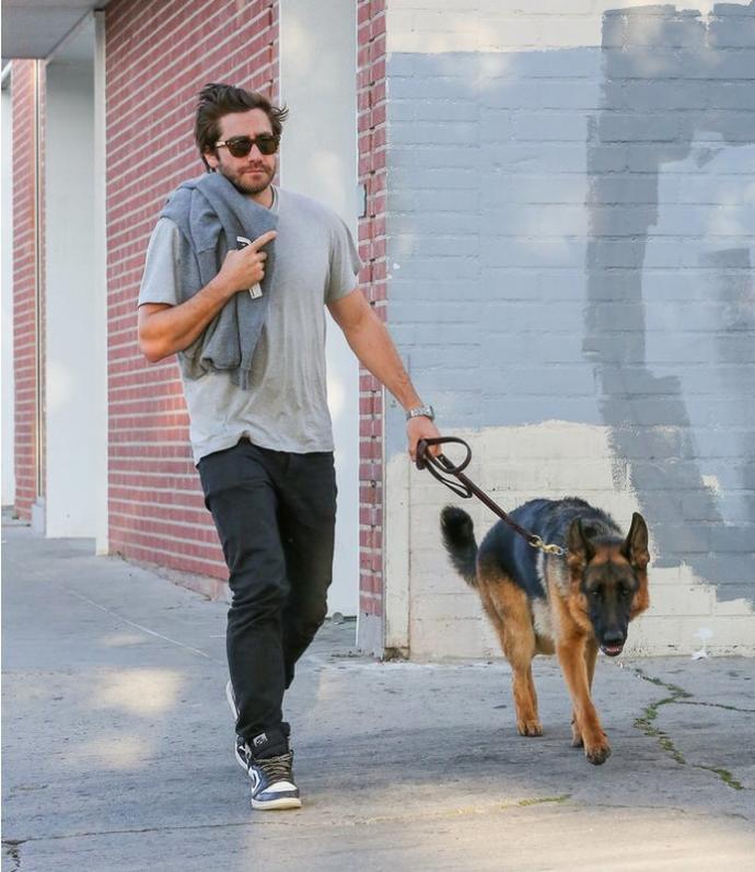 Aralarındaki Benzerlikleri ''Yok Artık!'' Dedirtecek Cinsten Olan Ünlüler ve Köpekleri
