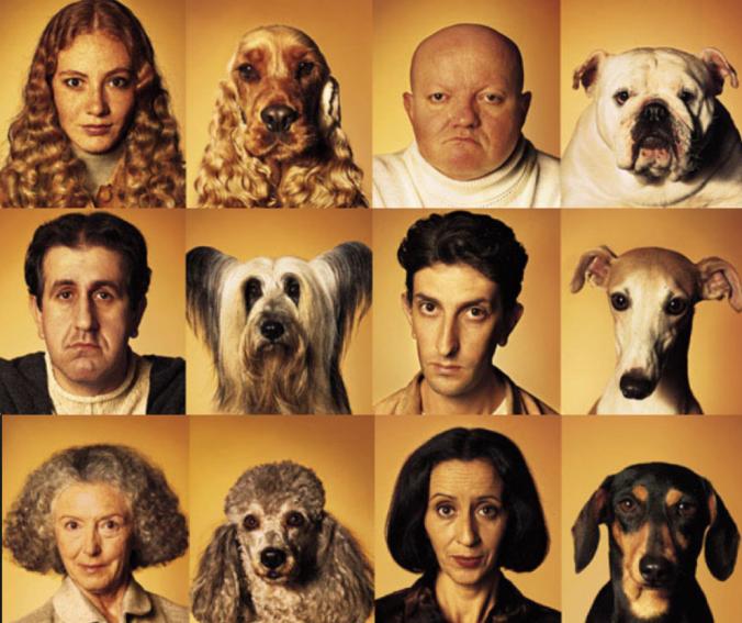 Aralarındaki Benzerlikleri ''Yok Artık!'' Dedirtecek Cinsten Olan Ünlüler ve Köpekleri