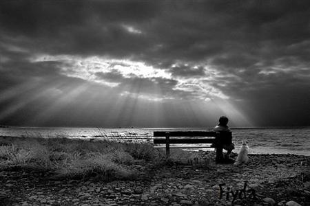 Yok Açıklama