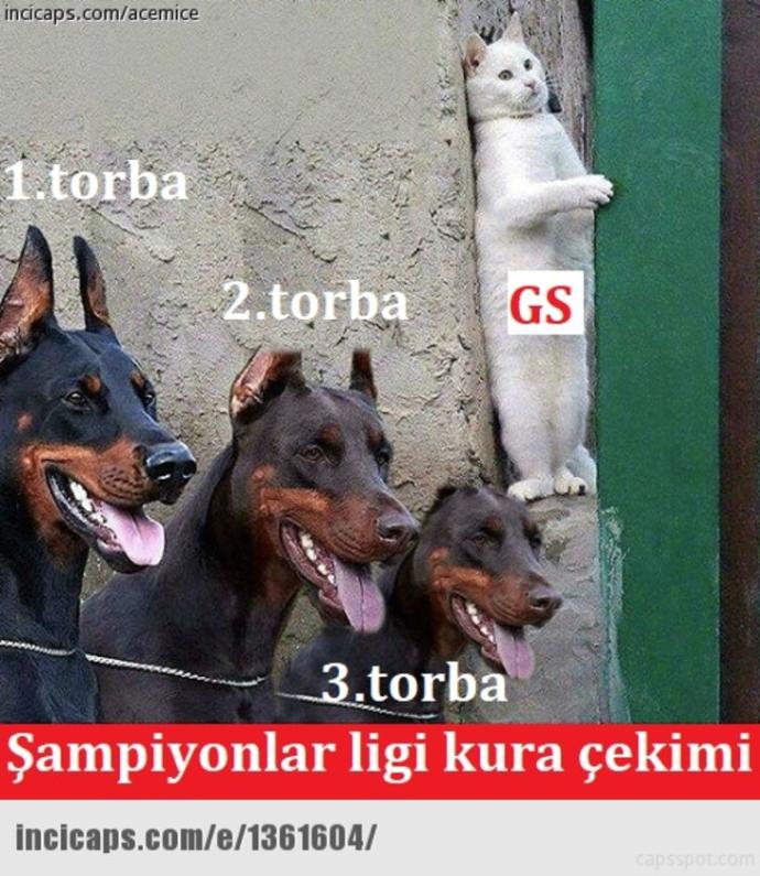 Galatasarayın Şeker Gibi Şampiyonlar Ligi Kurası ve En Tatlı Yankıları